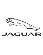 Lakiery zaprawkowe Jaguar, każdy kolor z kodu - Sklep lakierniczy ABRP